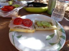 Mittagessen im Arches N.P. mit selbstgemachten Sandwiches, Photo © Stephan Jaggi