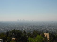 Die Skyline von Downtown Los Angeles im Dunst