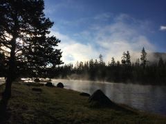 Morgens um 8 Uhr am Madison River im Yellowstone