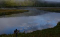 Wunderschöne Reflexionen und Morgennebel über dem Madison River im Yellowstone Nationalpark