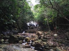 Wasserfall im Grünen entlang des Wanderwegs nach Repulse Bay