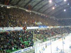 Zuschauerkulisse Bern Arena