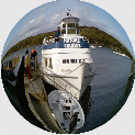 Minibild Cruise-Schiff