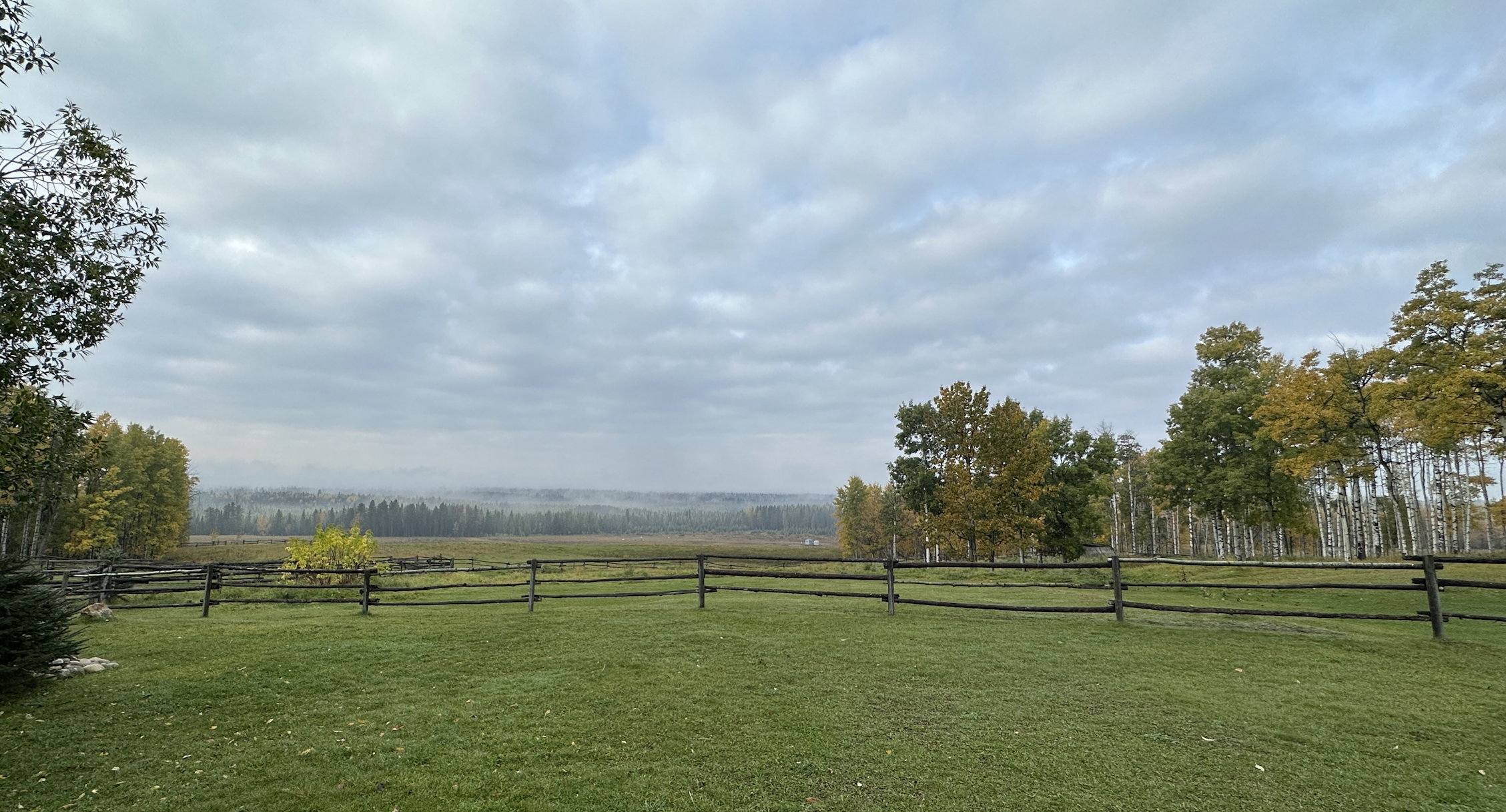 Blick über das Gelände der Ranch, grüne Wiesen, Zäune und weit im Hintergrund unter grauem Himmel der Wald mit leichtem Nebel