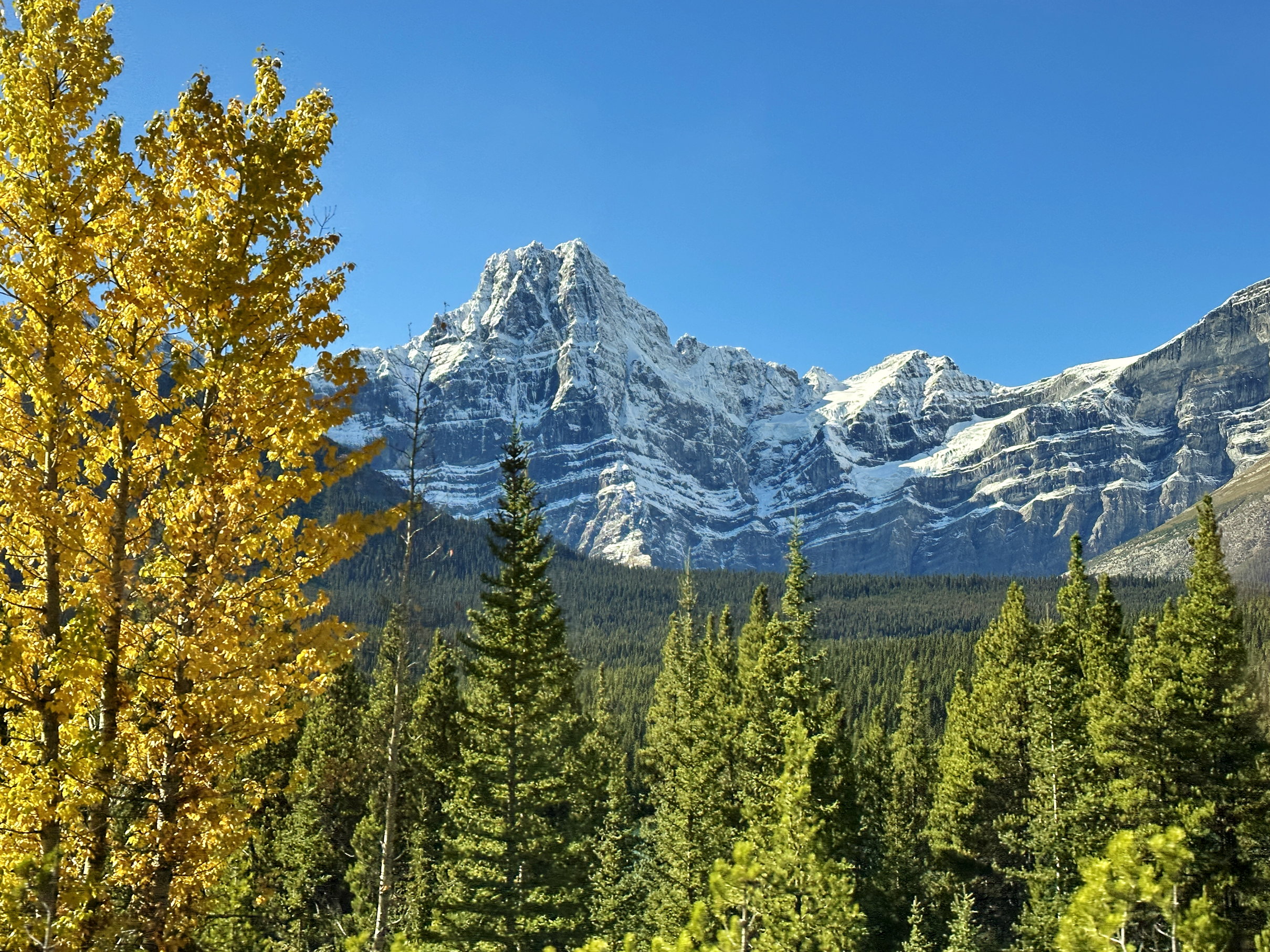 Der mächtige Berggipfel ragt über dem Wald, der Herbstfarben zeigt