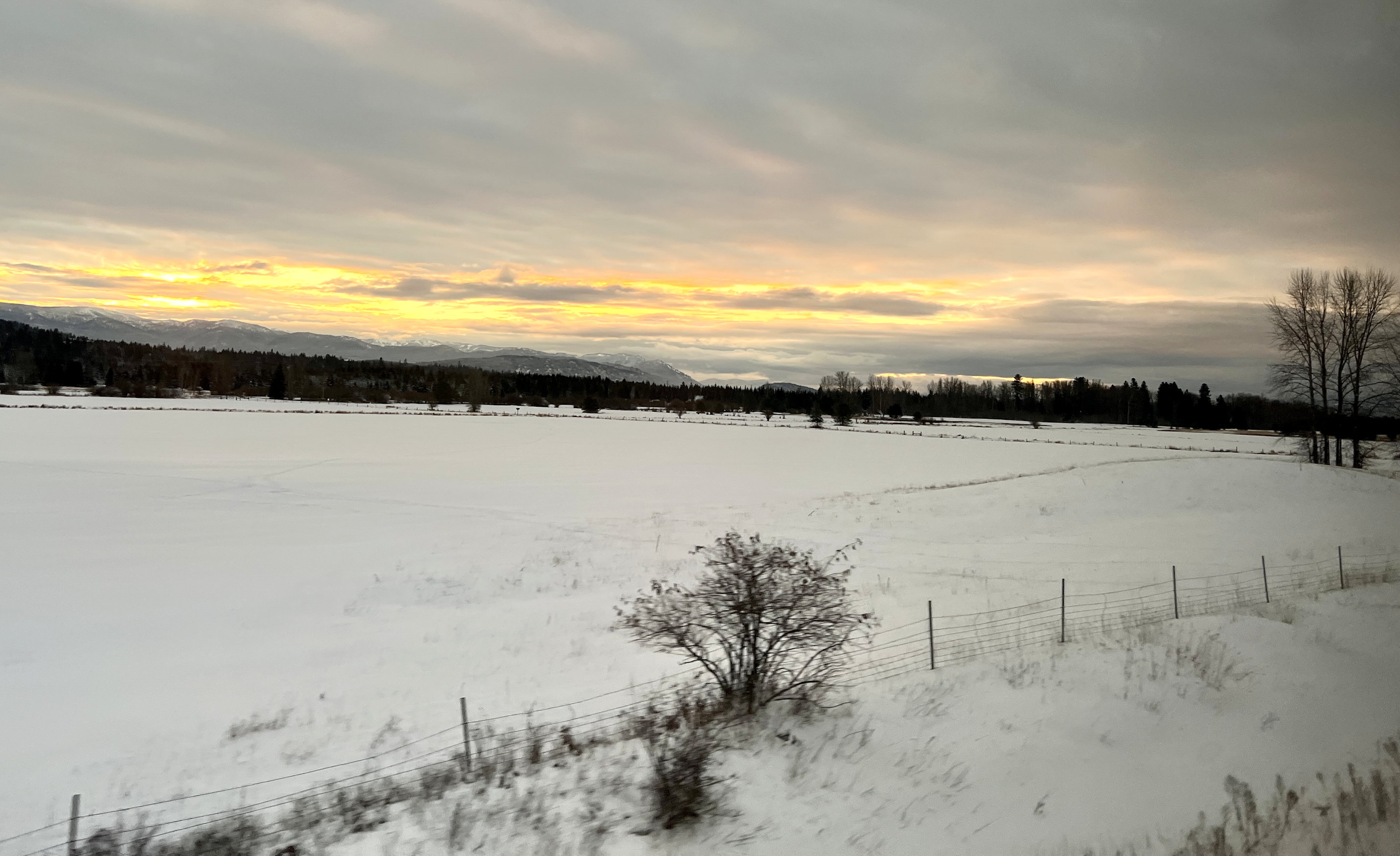 Winterlandschaft in der Nähe von Sandpoint, Idaho. Der Himmel ist am Horizont schwefelgelb. Im Vordergrund viel Schnee und ein paar Büsche und Bäume