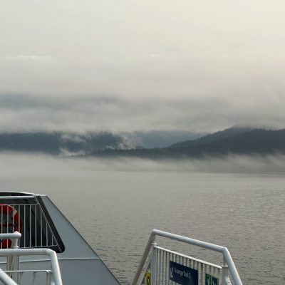 Nebelschwaden auf einer der vielen Inseln entlang der Inside Passage