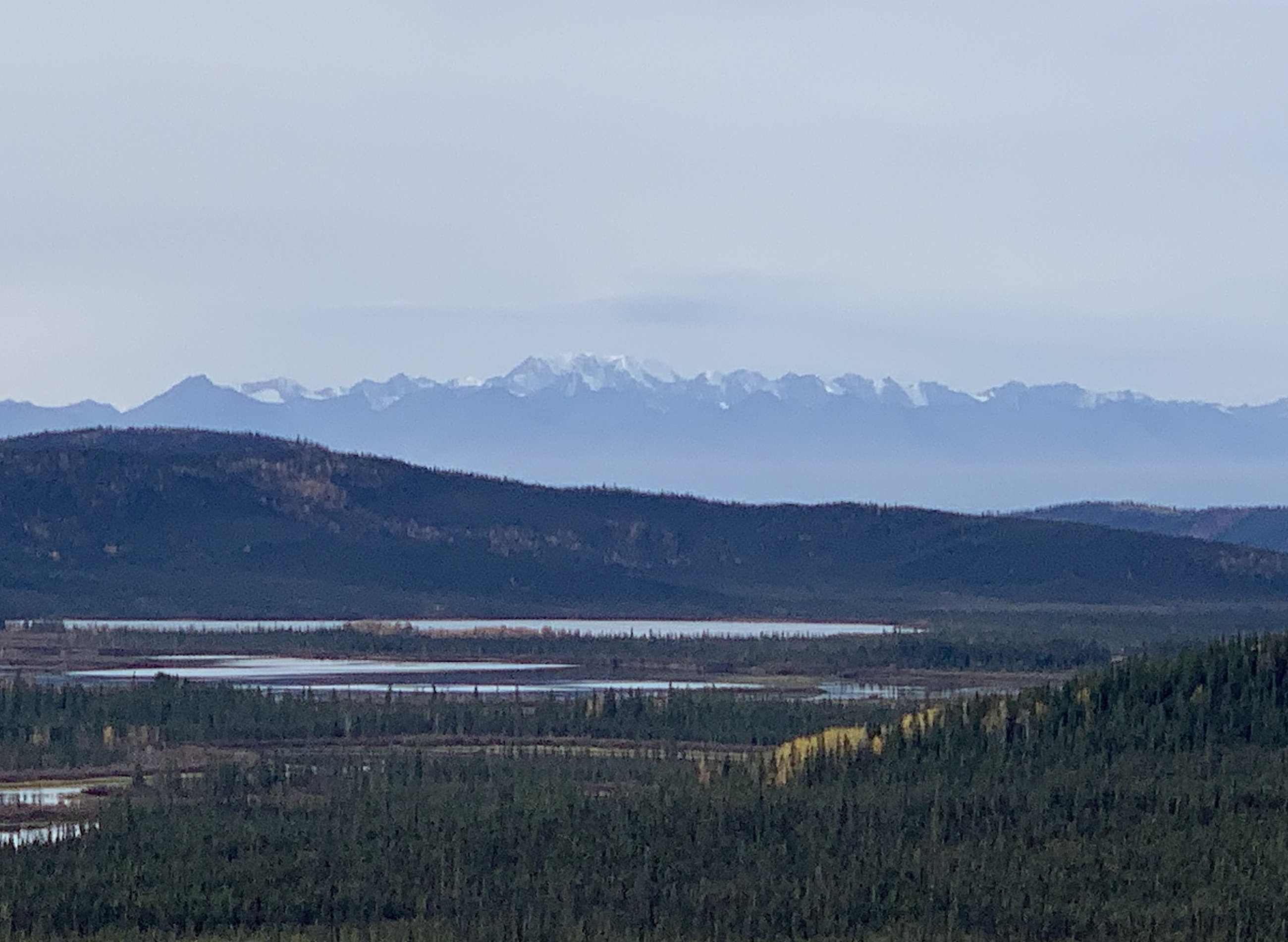 Blick über die Seenplatte des Tetlin National Wildlife Refugee zu den schneebedeckten Gipfeln der Wrangell-/St. Elias-Range