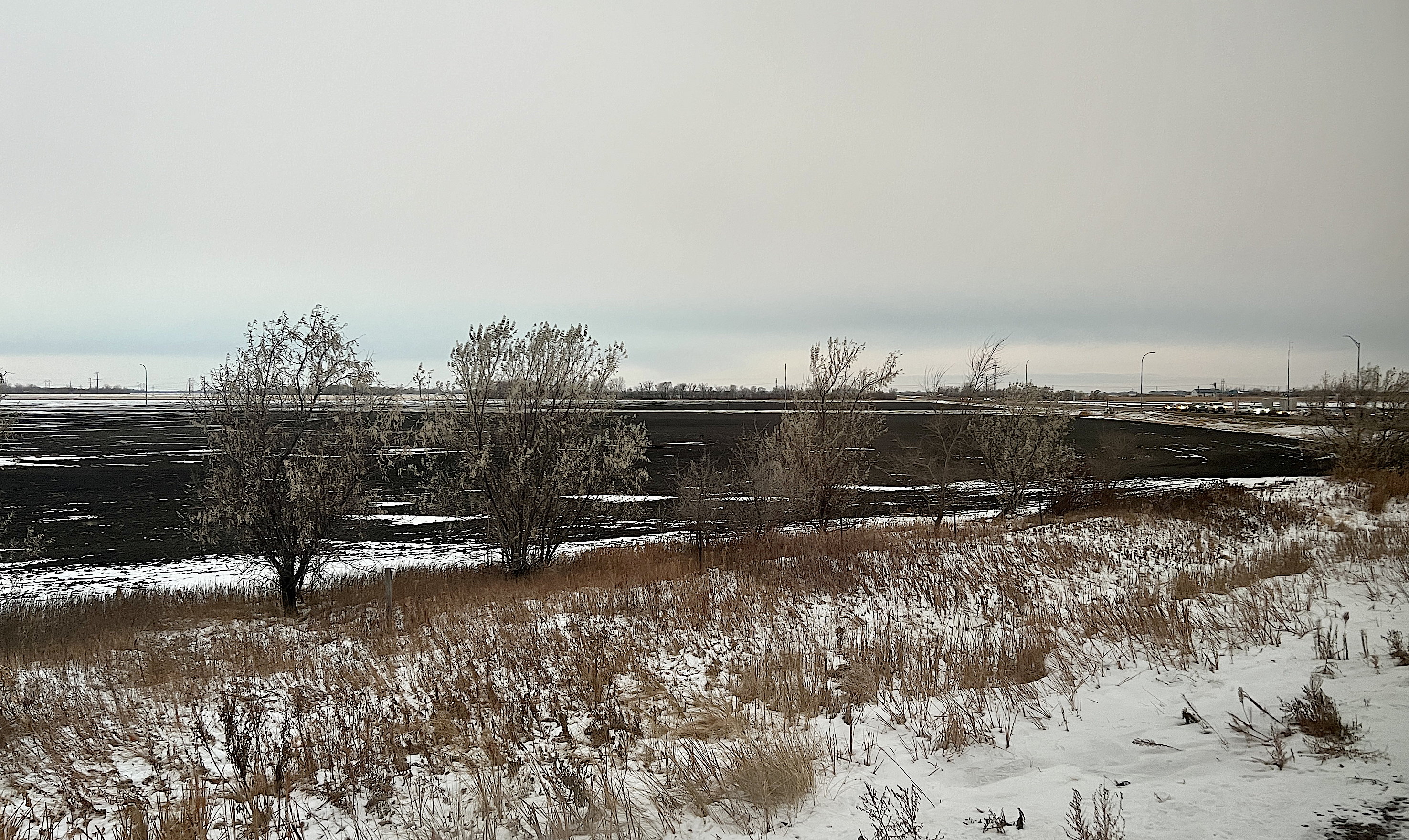 Bei Tagesbeginn, bzw. als es langsam heller wurde. Bei Grand Forks, North Dakota, schneebedeckte Wiese, dahinter recken Bäume ihre dürren Äste in den grauen, kalten Winterhimmel.
