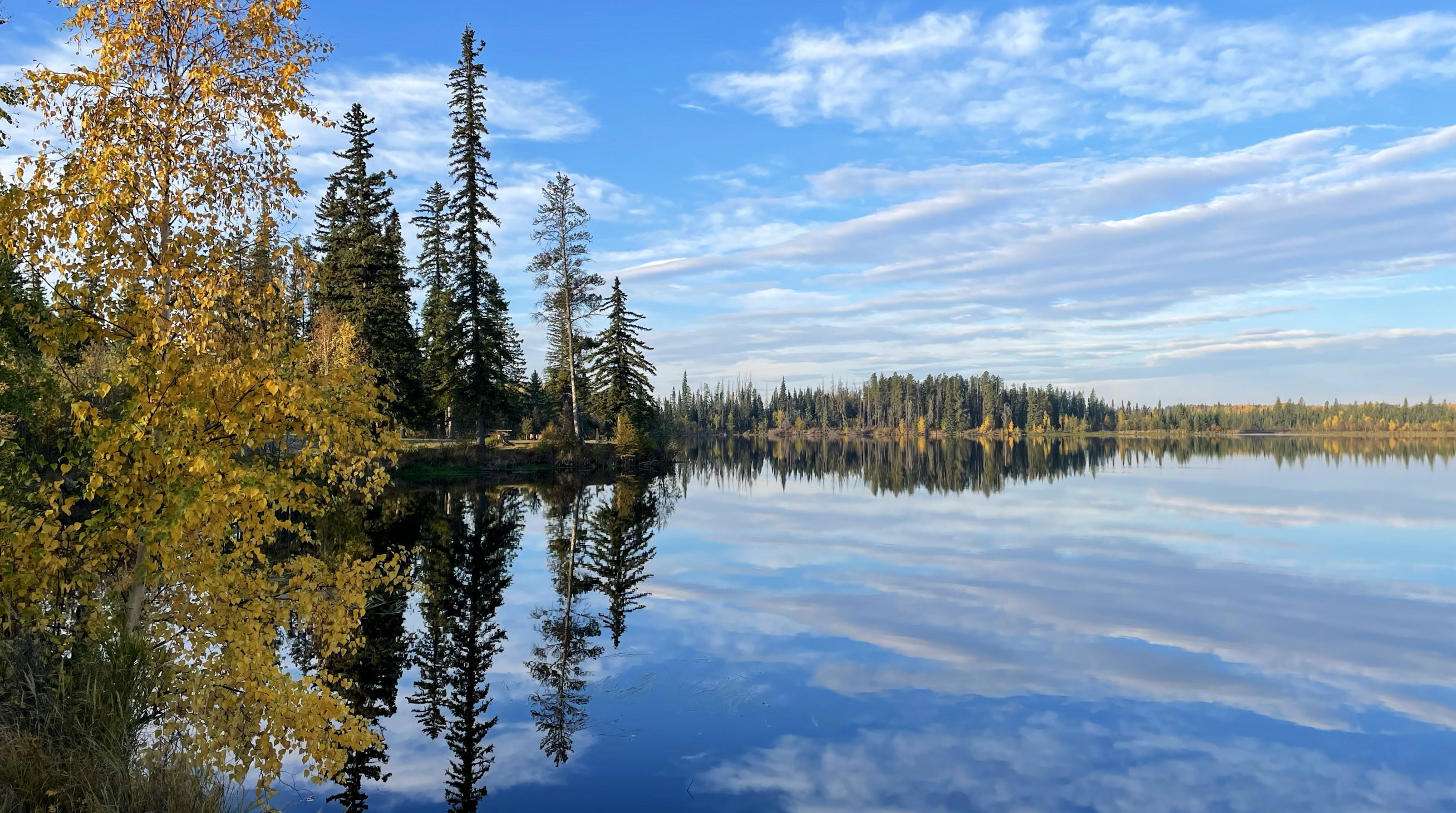 Morgens am Ole's Lake, spiegelglatte Oberfläche mit Bäumen unter blauem Himmel mit ein paar Schleierwolken
