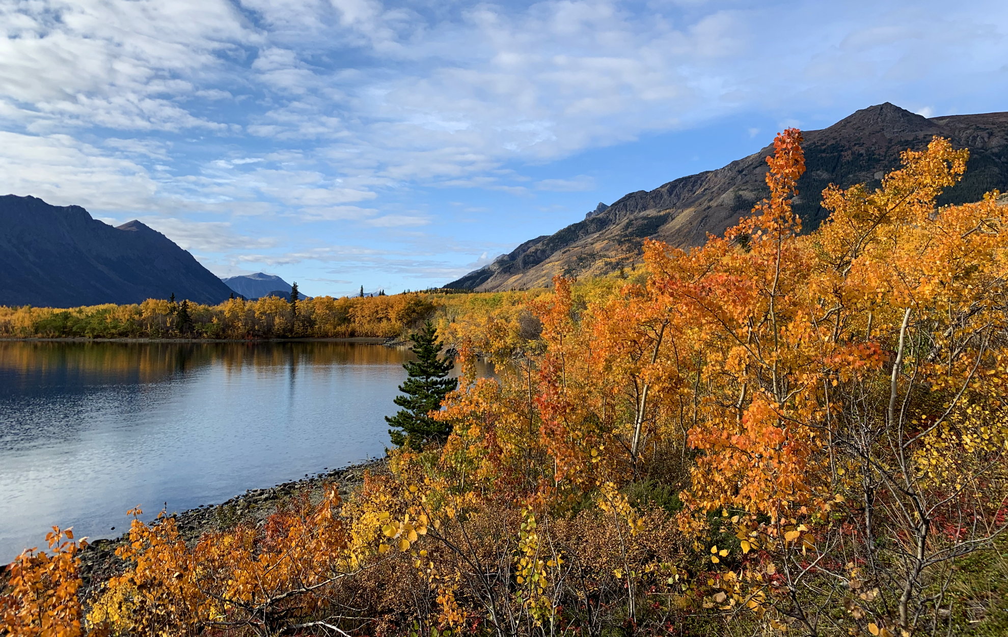 Herbstfarben am Conrad Lake