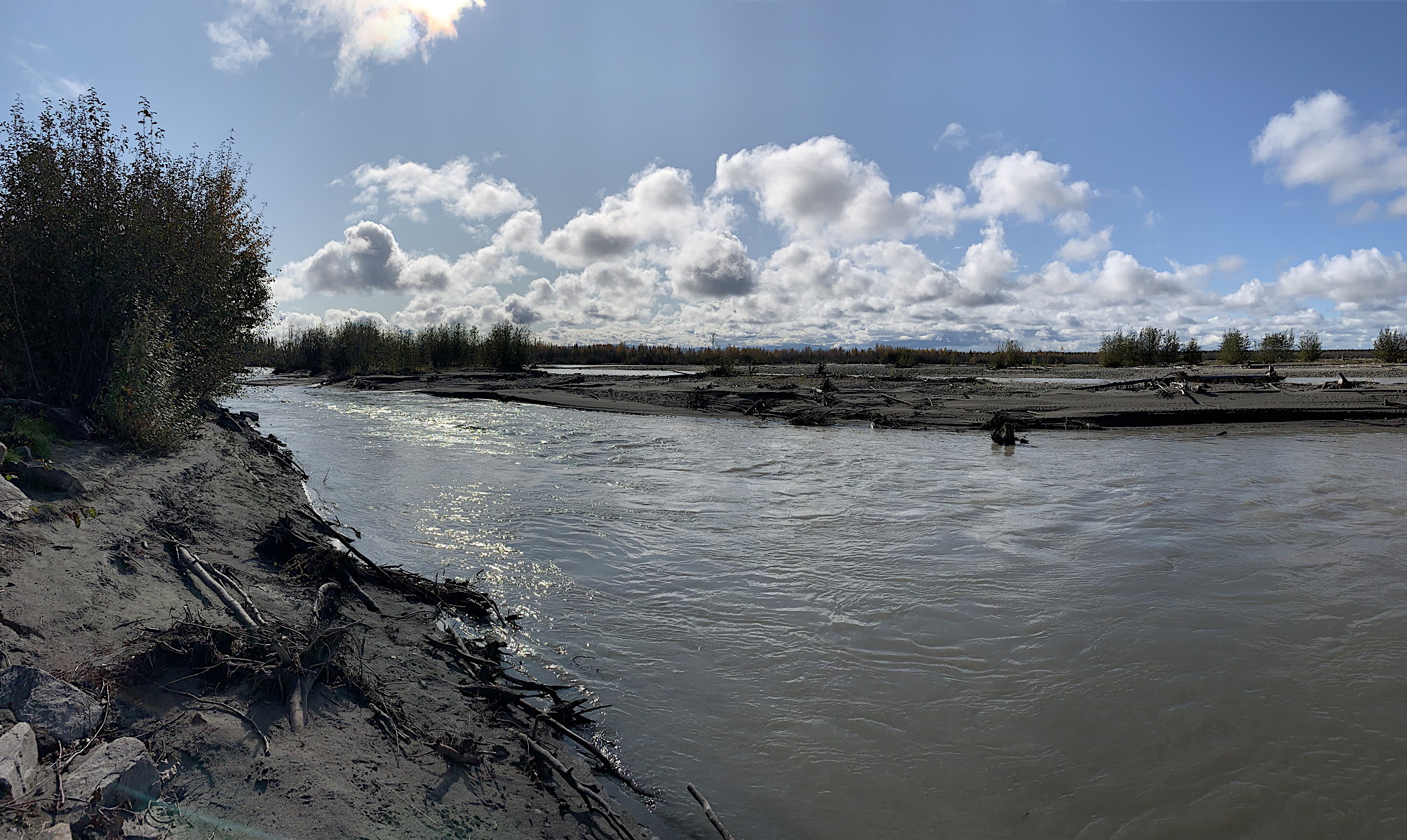Am Tanana River bei Salcha zwischen Fairbanks und Delta Junction