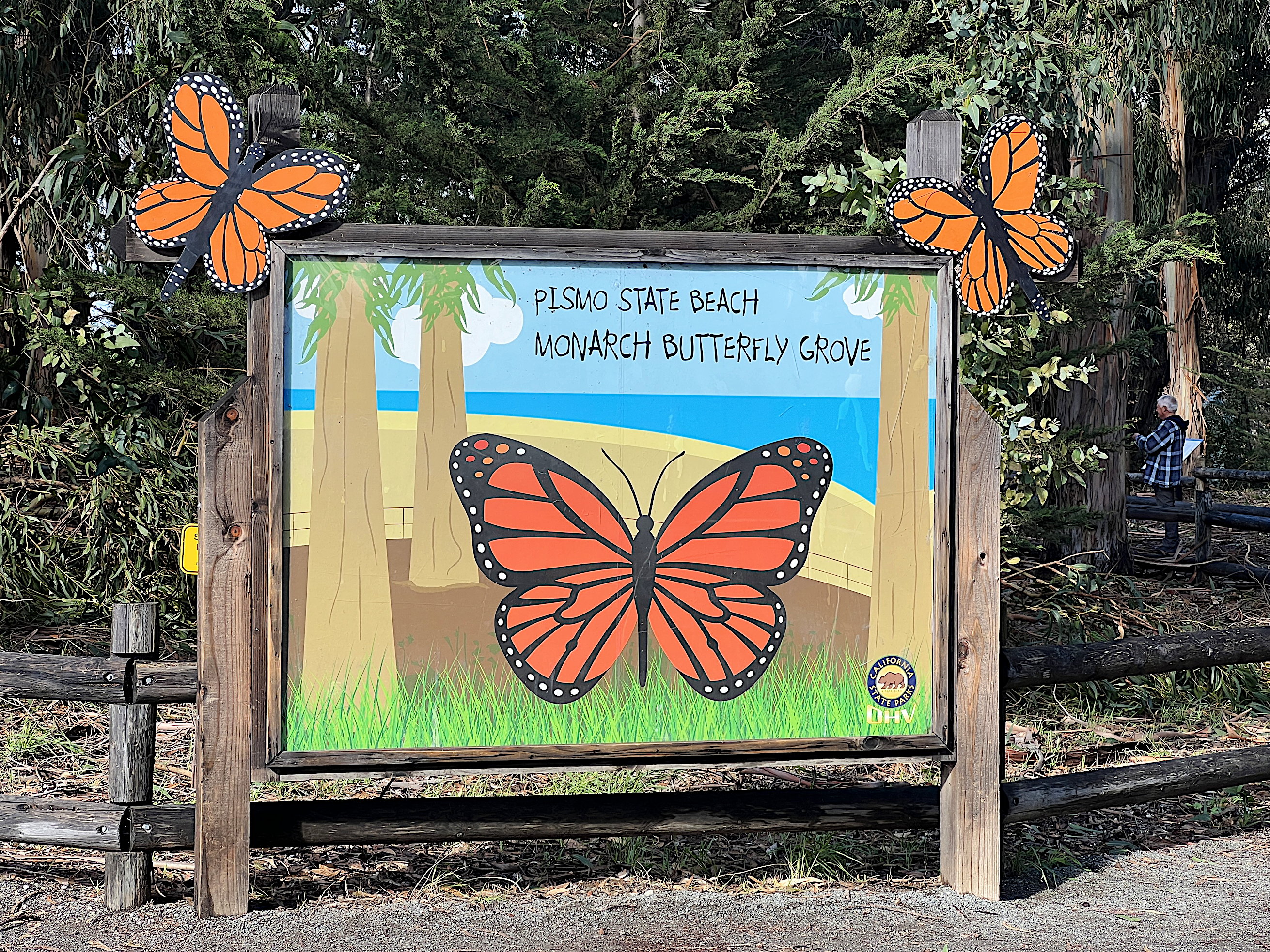 Begrüssungsschild, zeigt einen gemalten riesigen Monarch-Falter und die Aufschrift: «Pismo State Beach Monarch Butterfly Grove»