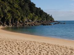 Sandstrand an der Waiharakeke Bay