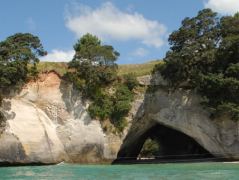 Die sehr bekannte Cathedral Cove, gerade abgesperrt, da manchmal Steine herunterfallen