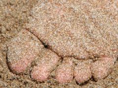 Füsse voller Sand am Hotwater Beach