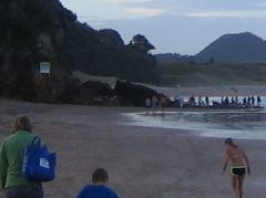 Unterwegs zum Hotwater Beach, im Hintergrund die Felsen