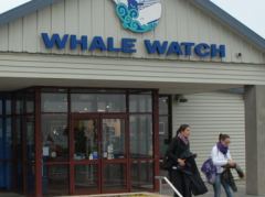 Whale Watch Office im Bahnhof von Kaikoura