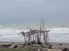 Graues Wetter, graue Wellen am Strand in der Nähe von Opotiki