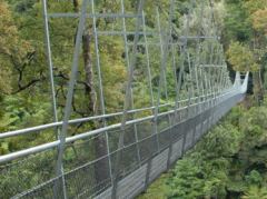 Die Waiohine Gorge Hängebrücke in voller Länge