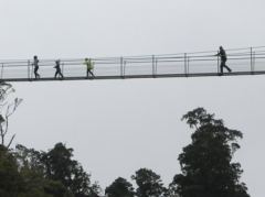 Auf der Waiohine Gorge Suspension Bridge