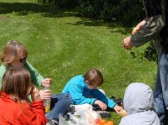 Picknick auf dem Durie Hill in Wanganui