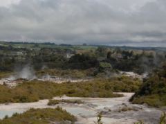 Ausblick über ein Tal mit heissen Quellen, im Hintergrund der Lake Rotorua