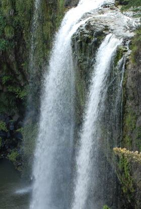 Wasserfälle bei Whangarei