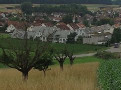 Aussicht über Würenlos gegen Nordwesten