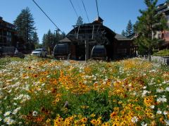 Talstation der Heavenly Gondelbahn bei South Lake Tahoe