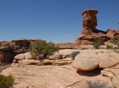 Am «Big Spring Canyon Overlook» im Canyonlands N.P.