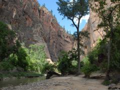 Am Anfang des «Riverside Walk» beim Temple of Sinawava