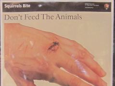 Plakat, das vor der Fütterung von Wildtieren warnt