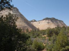 Die «Checkerboard Mesa» Felsen beim Osteingang des Zion N.P.