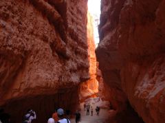 Bryce Canyon, viele Leute am Auf-/Abstieg beim Sunset Point