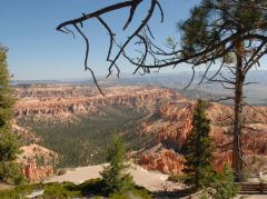 Bryce Point, Aussicht auf die Türme und Zinnen des Canyon 