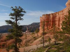 Bryce Canyon, unterwegs auf dem Queens Garden Trail