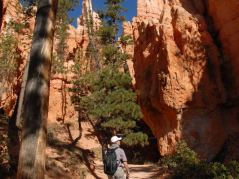 Bryce Canyon, Aufstieg vom Navajo-Trail zu der Natural Bridge