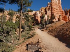 Bryce Canyon, Abzweigung Navajo-Trail