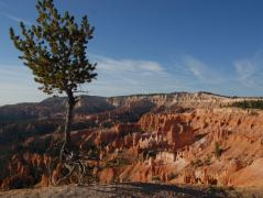 Bryce Canyon, auf dem Rim Trail, fast beim Sunrise Point, Blick Richtung Sunset Point