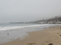 Pismo Beach im Morgennebel