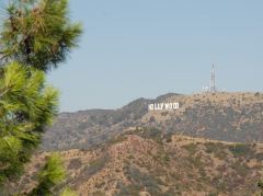 Aussicht auf das Hollywood Schild vom Griffith Park
