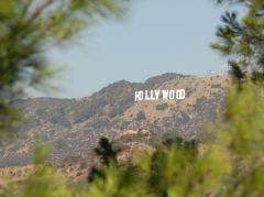 Nochmals das Hollywood Schild zwischen Büschen