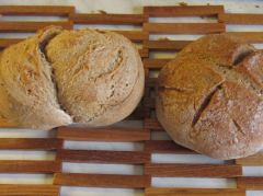 Links Weizensauer-/Dinkel-, rechts Roggensauer-Dinkelbrötchen