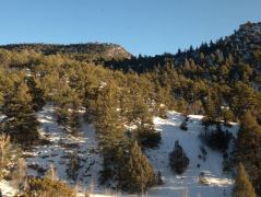 Winterlandschaft in der Nähe von Glorieta