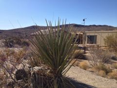 Cottonwood Visitor Center im Joshua Tree N.P.