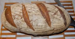 Mill Loaf nach Dan Lepard, Weizensauerteigbrot
