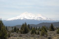 Der Mount Shasta