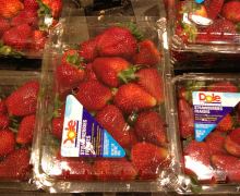 Frische, kalifornische Erdbeeren im Safeway