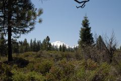 Der schneebedeckte Lassen Peak im Lassen Volcanic Park